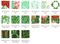 Holiday Flourish: Festive Finery Fat Quarter Bundle in Spearmint by Studio RK for Robert Kaufman (FQ-2144-15)